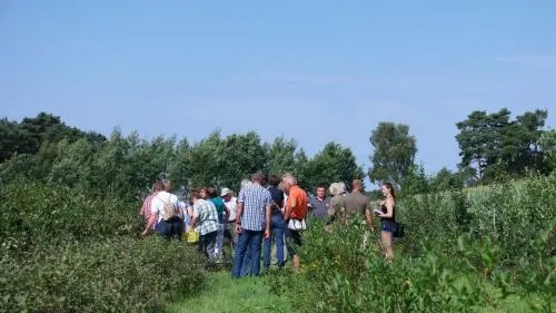 Aronia Plantagen Führung