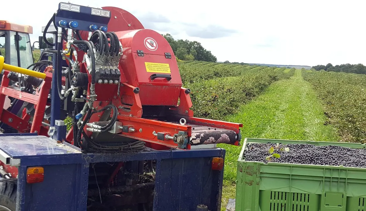Aronia Erntemaschine Aroniabeeren Erntemaschine