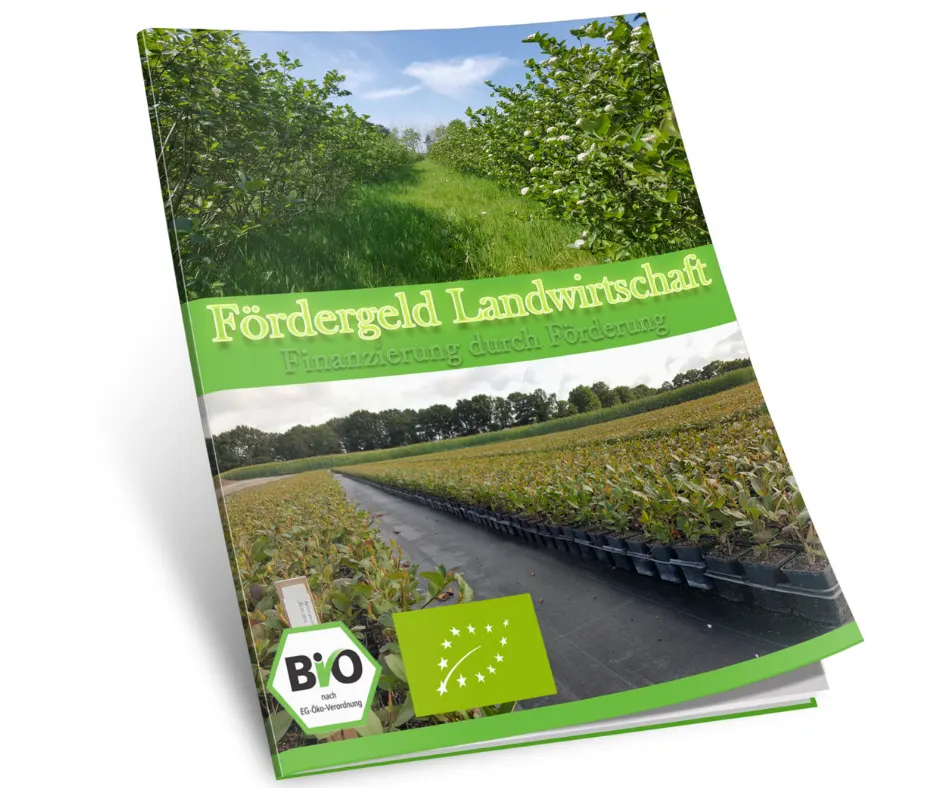 Aronia Plantage Finanzierung durch Förderung